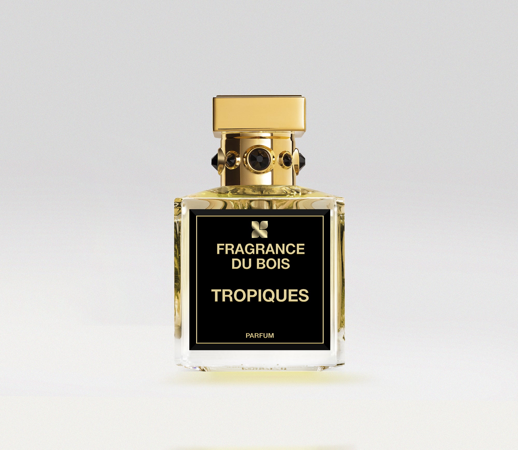 front_tropiques.jpg Tropiques – Bild 1